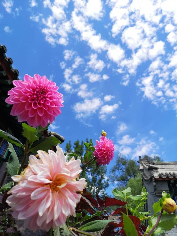 Chengde Kai Ren Hua Fu Inn Bi Shu Shan Zhuang Dian Екстериор снимка